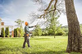 Best Hedge Trimming  in USA